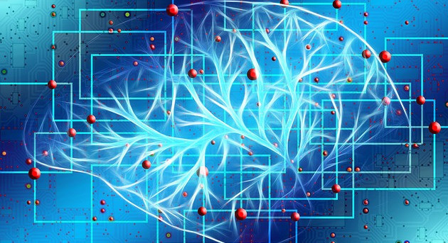 A picture of electrical activity in the brain