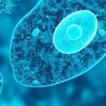 How To Prevent The Hidden Threat to Your Health